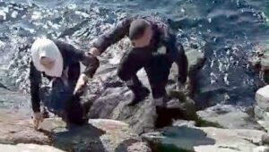 kayaliklarin arasina dustu guvenlik kurtardi 3wQxkGad.jpg